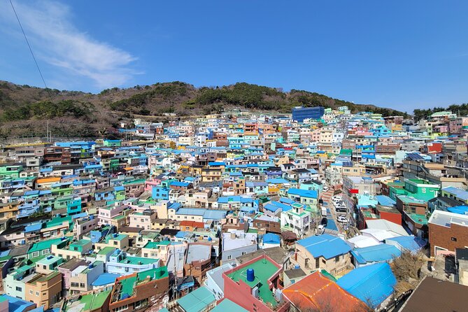 Busan Half-Day Private Tour in English (Upto 5 Pax) - Good To Know