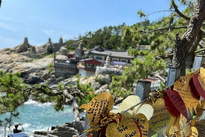 Busan Hidden Gems Private Guided Tour - Tour Highlights and Unique Features