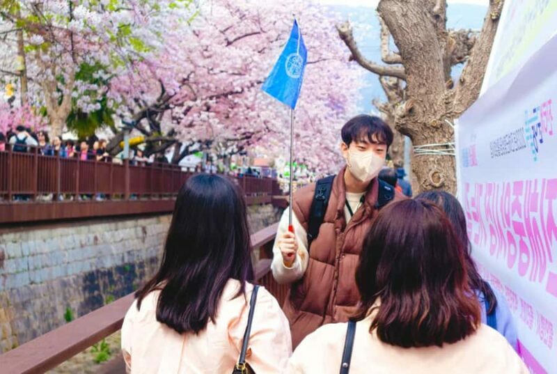 Busan: Jinhae Cherry Blossom Festival Day or Night Tour - Practical Tips for Your Cherry Blossom Day