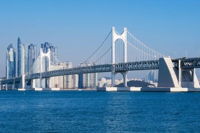 Busan ONE-DAY Highlights for PRIVATE CRUISE PASSENGERS - Haedong Yonggungsa Temple