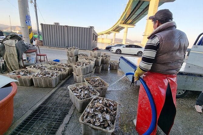 Busan Oyster Village Tour With Oyster Cuisines in Winter - Busan Oyster Village