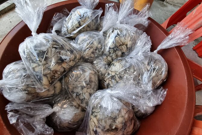 Busan Oyster Village Tour With Oyster Cuisines in Winter - Health and Accessibility