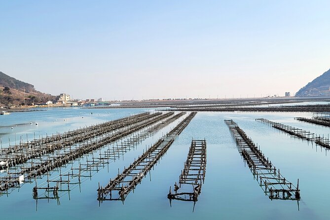Busan Oyster Village Tour With Oyster Cuisines in Winter - Booking Information