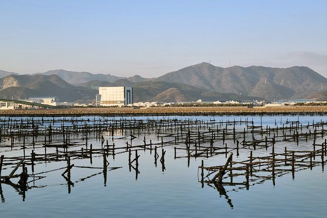 Busan Oyster Village Tour With Oyster Cuisines in Winter - Reviews and Ratings