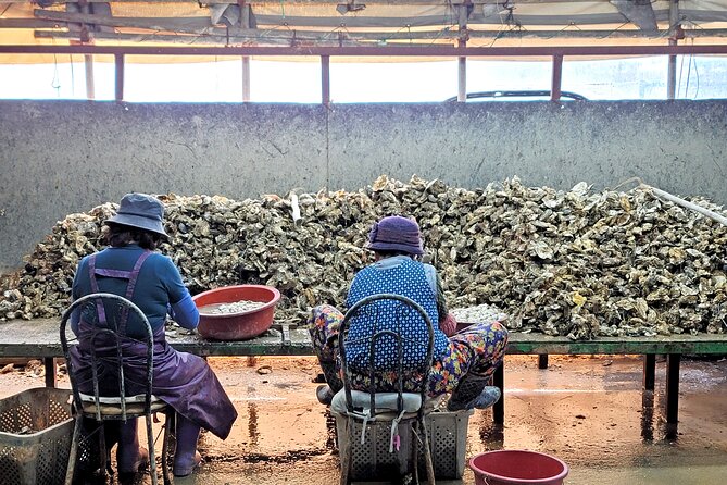 Busan Oyster Village Tour With Oyster Cuisines in Winter - Inclusions and Menu