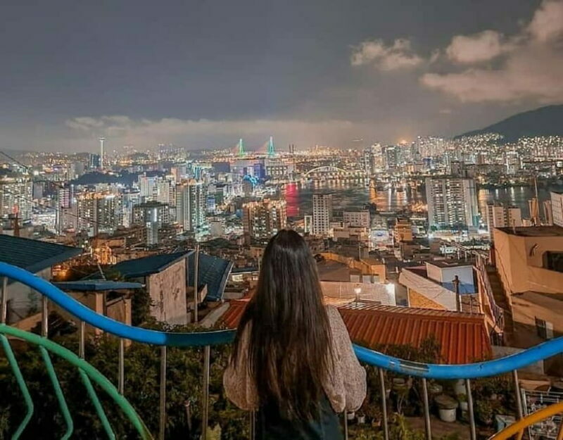 Busan Private Night Tour-City Lights & Food (Up to 7 Guests) - Key Points