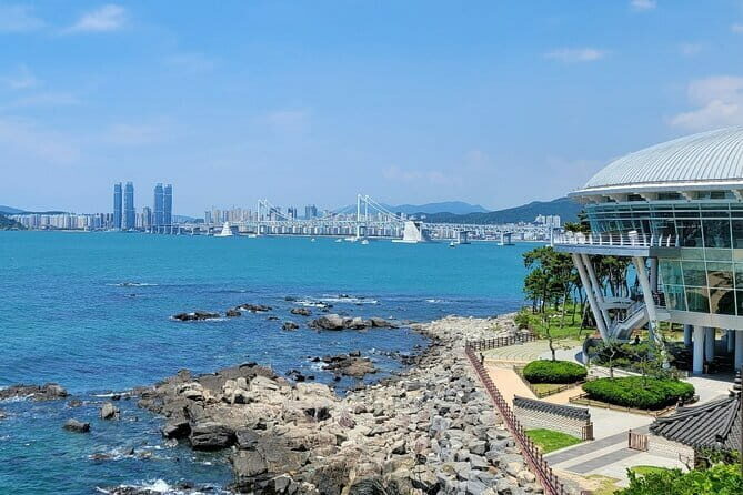 Busan private tour : K-pop dance class + tour - Who Should Consider This Tour?