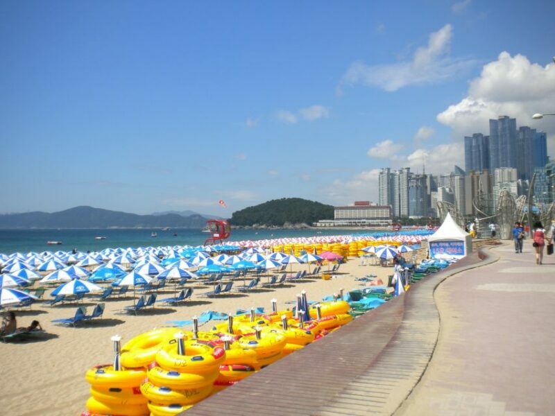 Busan Private Walking Tour with a Local - Key Points