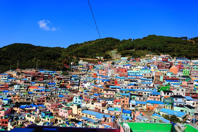Busan Shore Excursion Tour With Gamcheon Culture Village - Tour Logistics