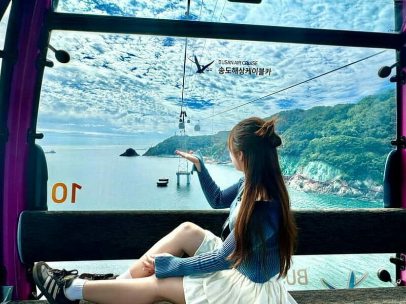 Busan: Sightseeing Tour for Cruise Passengers - Key Points