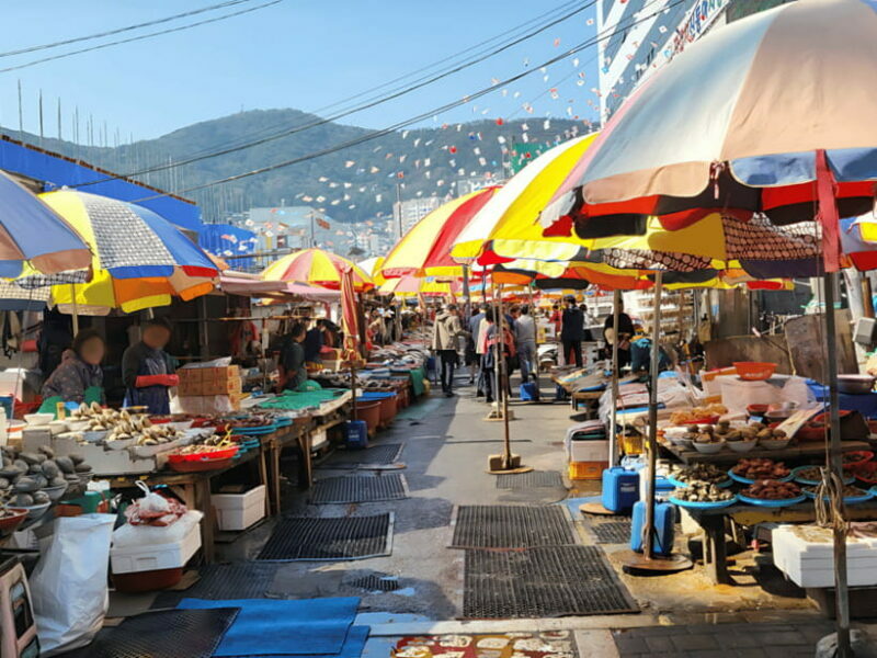 Busan: Sightseeing Tour for Cruise Passengers - Why This Tour Works for Cruise Passengers