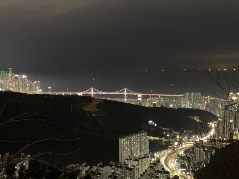 Busan: the Best Night View Small Group Tour - Hiking Hwangnyeongsan Mountain