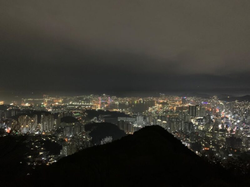Busan: the Best Night View Small Group Tour - Panoramic City and Ocean Views
