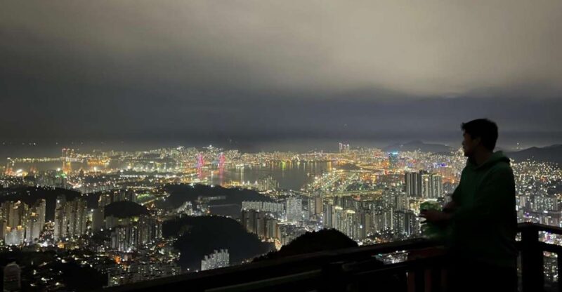 Busan: the Best Night View Small Group Tour - Private Car and Driver