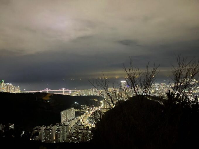 Busan: the Best Night View Small Group Tour - Booking and Cancellation Policy