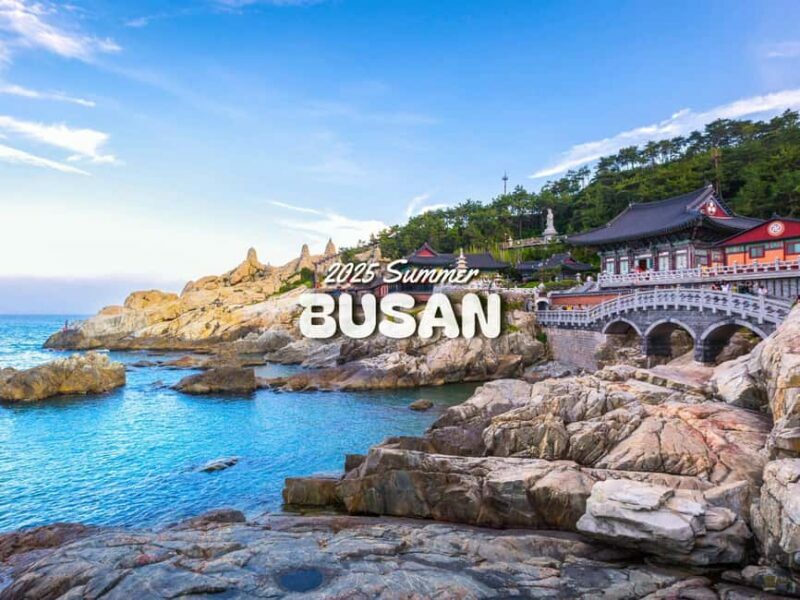 Busan: Top Attractions Authentic One-Day Guided Tour - Key Points