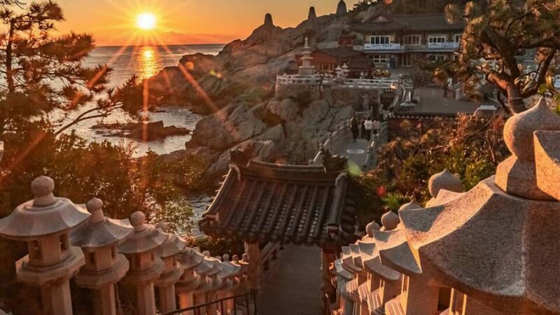 Busan: Well-Rounded Small-Group Busan Tour with Hotel Pickup - Who Will Love This Tour?