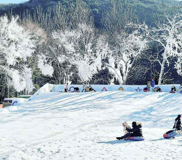 Busan: Winter Healing Park and (Gyeongju/Daegu) One Day Tour - Key Points