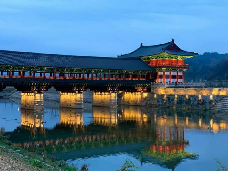 Busan: Winter Healing Park and (Gyeongju/Daegu) One Day Tour - Explore the Winter Wonderland at Kookmin Healing Park