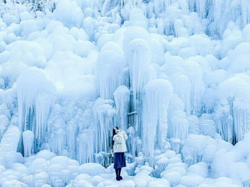 Busan: Winter Healing Park and (Gyeongju/Daegu) One Day Tour - Daegu: A City of Markets and Winter Scenery