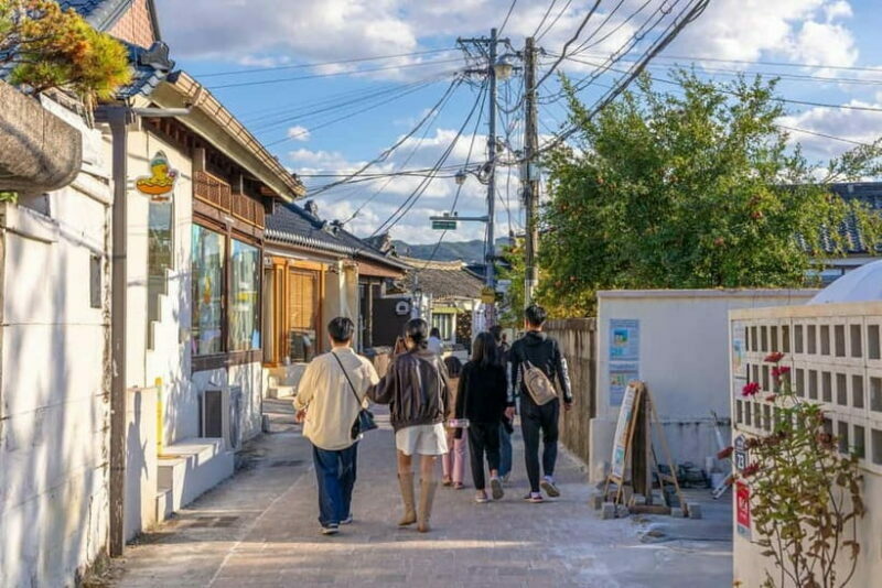 Busan: Winter Healing Park and (Gyeongju/Daegu) One Day Tour - The Sum Up: Who Will Love This Tour?