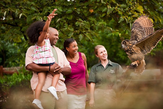Busch Gardens Williamsburg Admission Ticket - Visitor Accessibility and Services