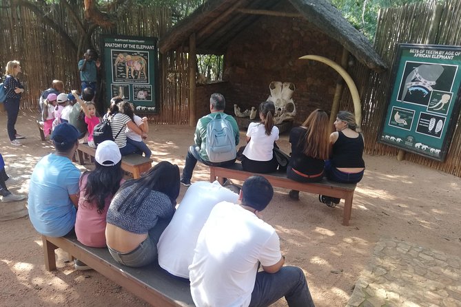 Bush Babies & Monkey Sanctuary and Elephants Walk Private - Educational Talks and Guided Commentary
