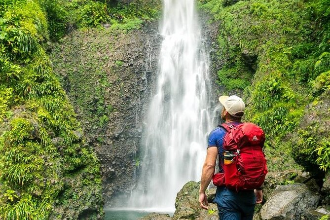 Bush Hiking to Explore Wild Plants & Fresh Fruits,Montego Bay - Preparation and Recommendations