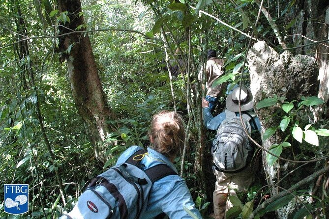 Bush Hiking to Explore Wild Plants & Fresh Fruits,Montego Bay - Discovering Fresh Fruits