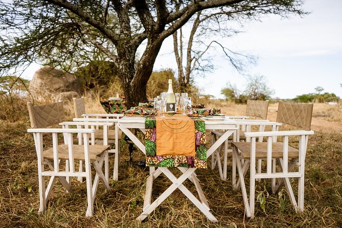Bush Lunch in the Wild in Serengeti & Tarangire National Parks - Accessibility