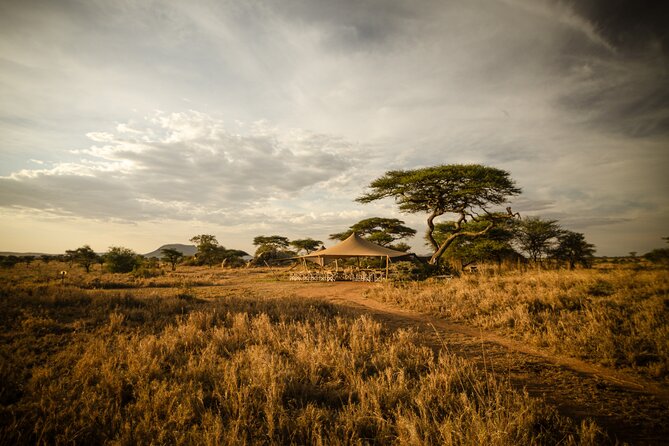 Bush Lunch in the Wild in Serengeti & Tarangire National Parks - Additional Information
