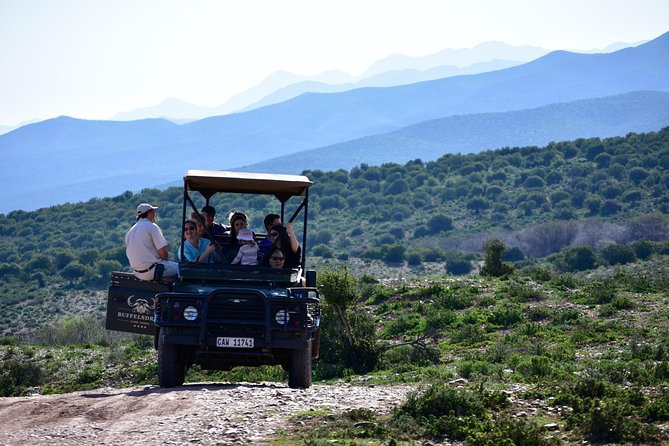 Bush Safari - Key Points