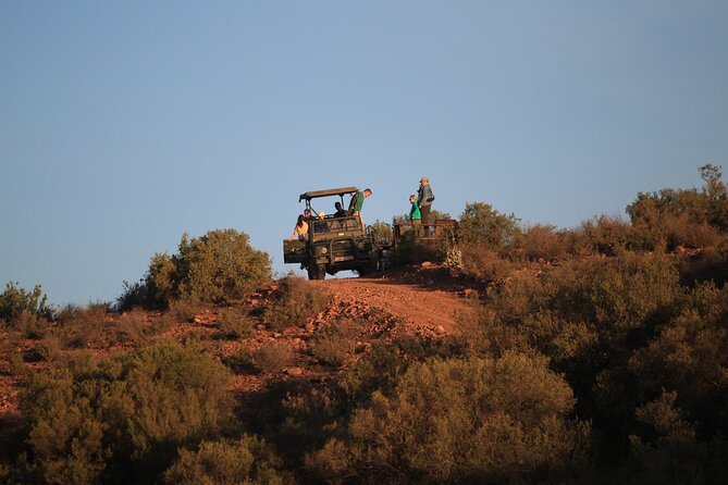 Bush Safari - Meeting and Departure