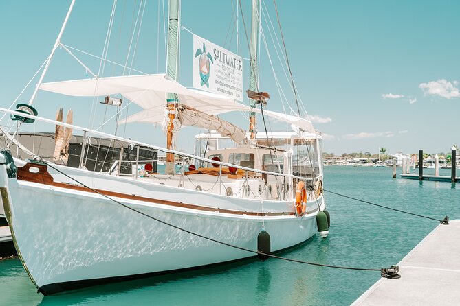 Bushtucker Cruise - Key Points