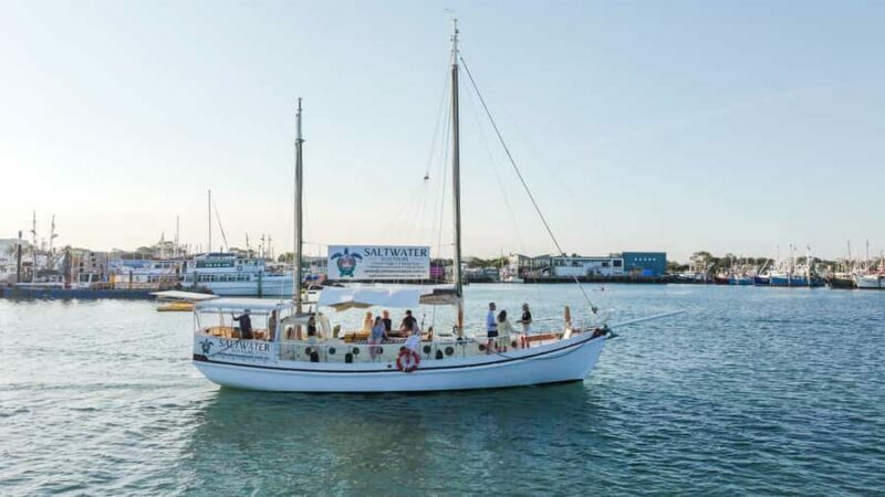 Bushtucker Cultural Cruise - Value and Pricing: What’s It Worth?