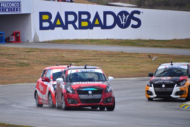 Bushy Park Barbados Swift Experience - Safety Precautions and Requirements