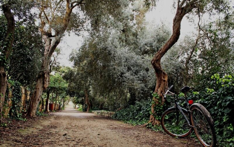 Buskett Woodlands and Dingli Cliffs Private Nature Tour - Customer Feedback and Additional Information