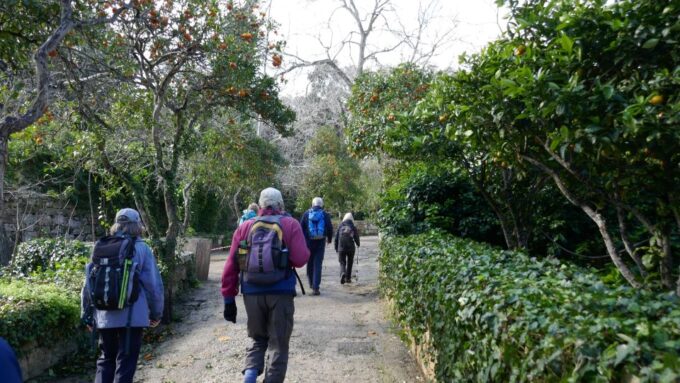 Buskett Woodlands and Dingli Cliffs Private Nature Tour - Visiting Dingli Cliffs