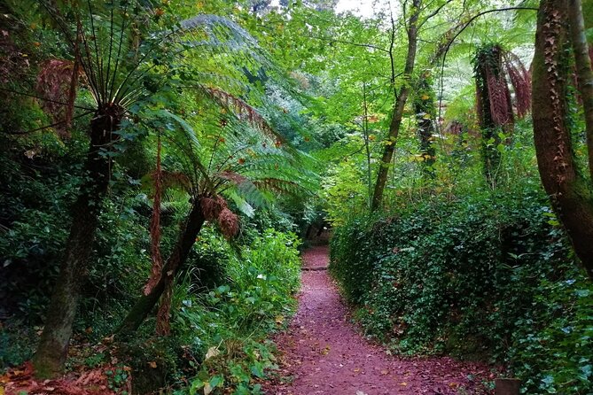 Bussaco Forest Walking Experience, Half Day From Coimbra - Whats Included
