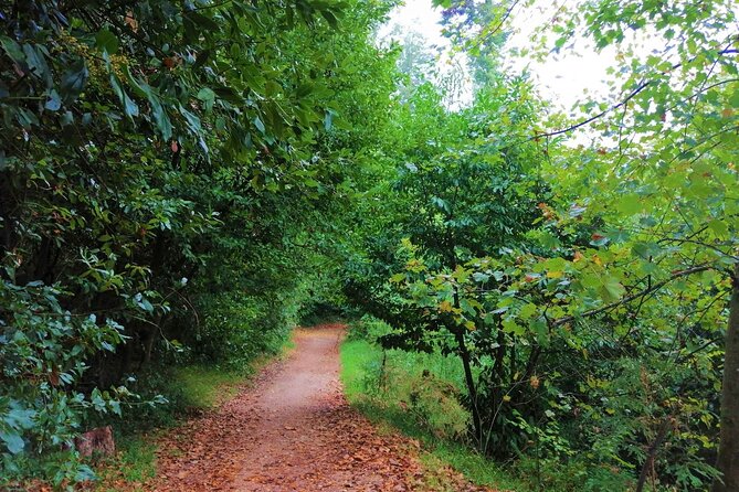 Bussaco Forest Walking Experience, Half Day From Coimbra - Frequently Asked Questions