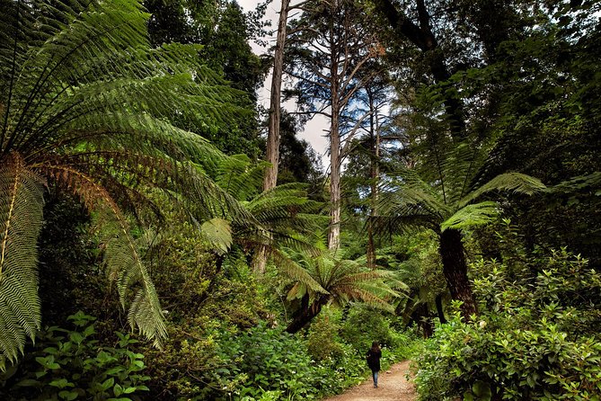 Bussaco Palace, Gardens & Forest - Discovering the Gardens