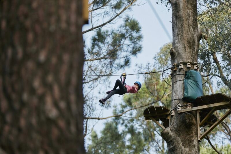 Busselton: Forest Adventure With Zip Lining and Rope Course - Key Points