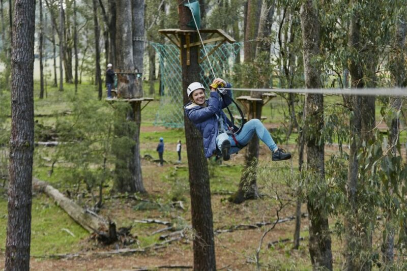 Busselton: Forest Adventure With Zip Lining and Rope Course - Pricing and Reservations