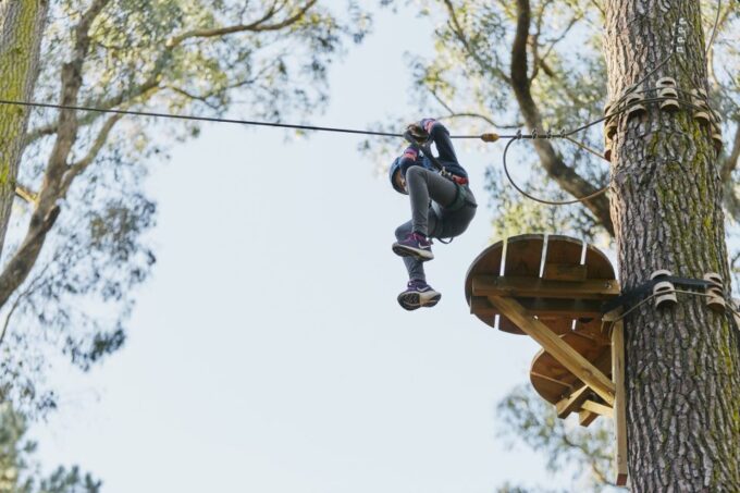 Busselton: Forest Adventure With Zip Lining and Rope Course - Customer Feedback Highlights