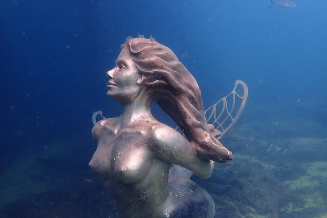 Busselton Jetty and Underwater Sculptures Snorkel Boat Tour - Inclusions
