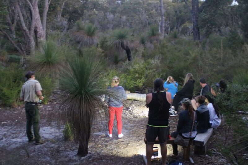 Busselton: Nocturnal Animal Tour - Experience Highlights