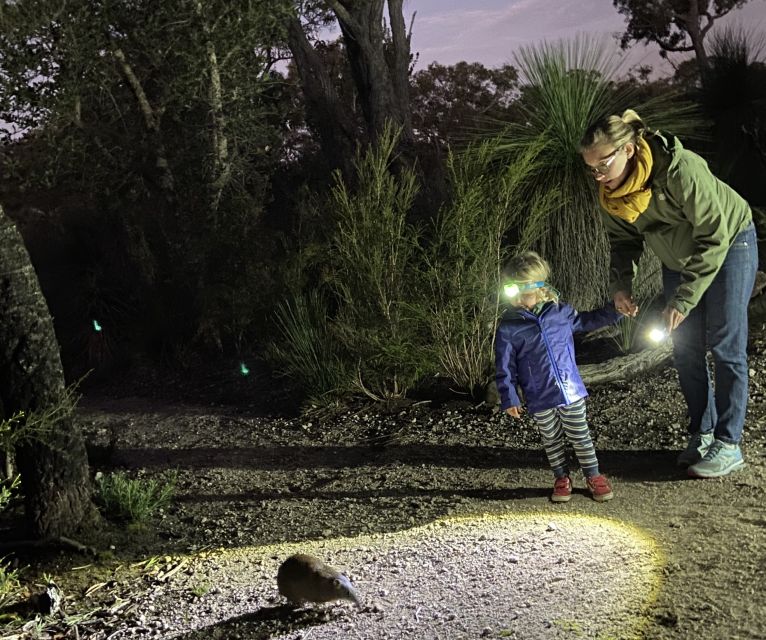 Busselton: Nocturnal Animal Tour - Tour Itinerary