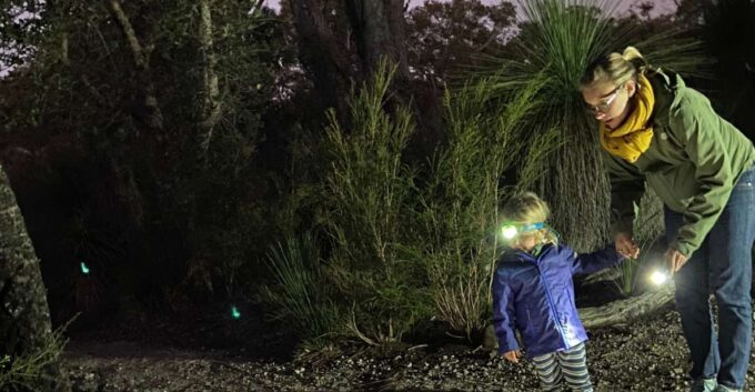 Busselton: Nocturnal Animal Tour - Recap
