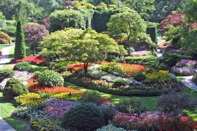 Butchart Gardens and City Tour - Exploring Butchart Gardens