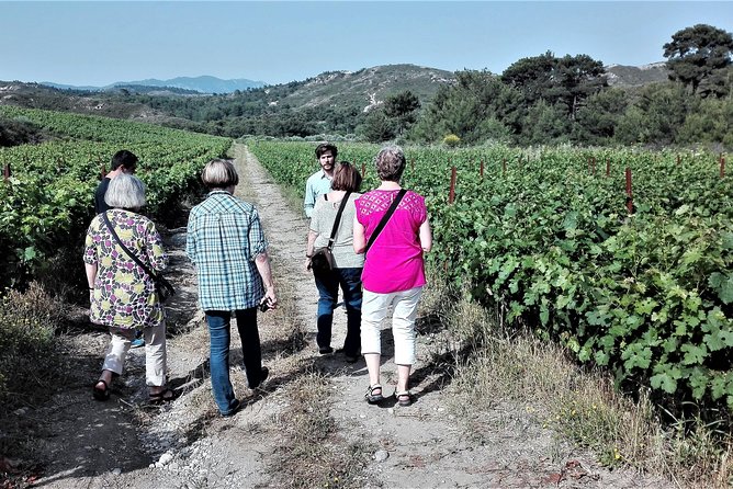 Butterflies Valley & Wine Tasting Experience Private Tour - Inclusions and Highlights
